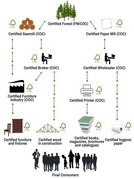 FSC process infographic